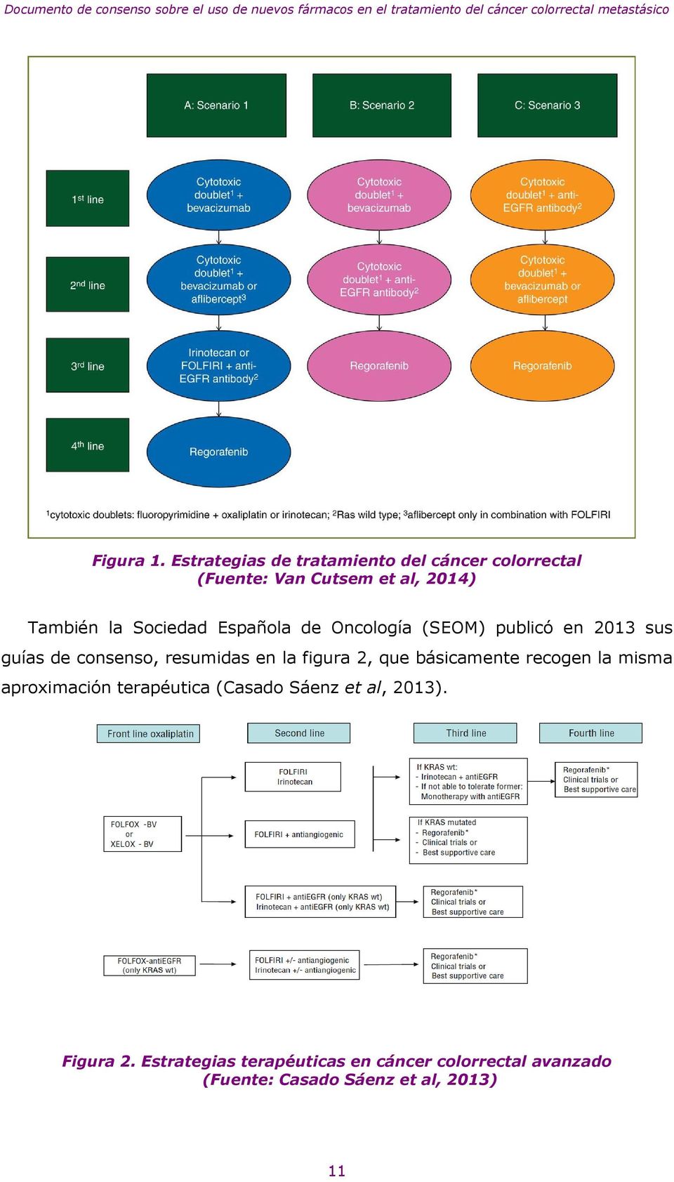 Sociedad Española de Oncología (SEOM) publicó en 2013 sus guías de consenso, resumidas en la