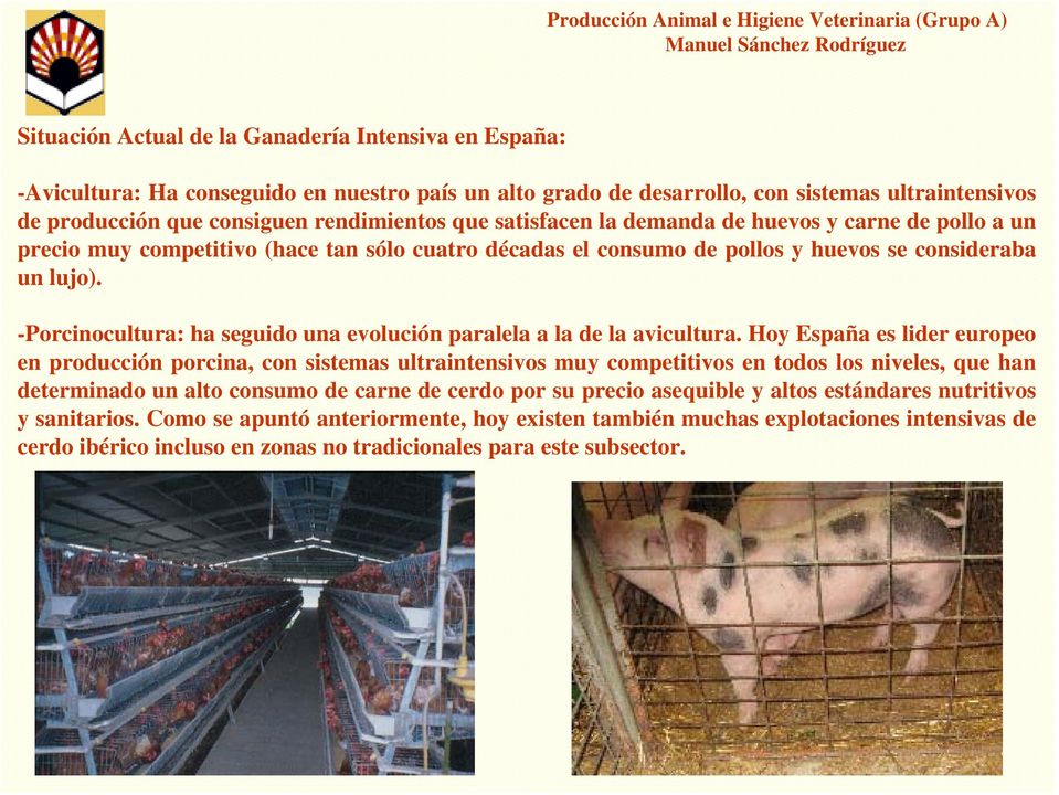 -Porcinocultura: ha seguido una evolución paralela a la de la avicultura.