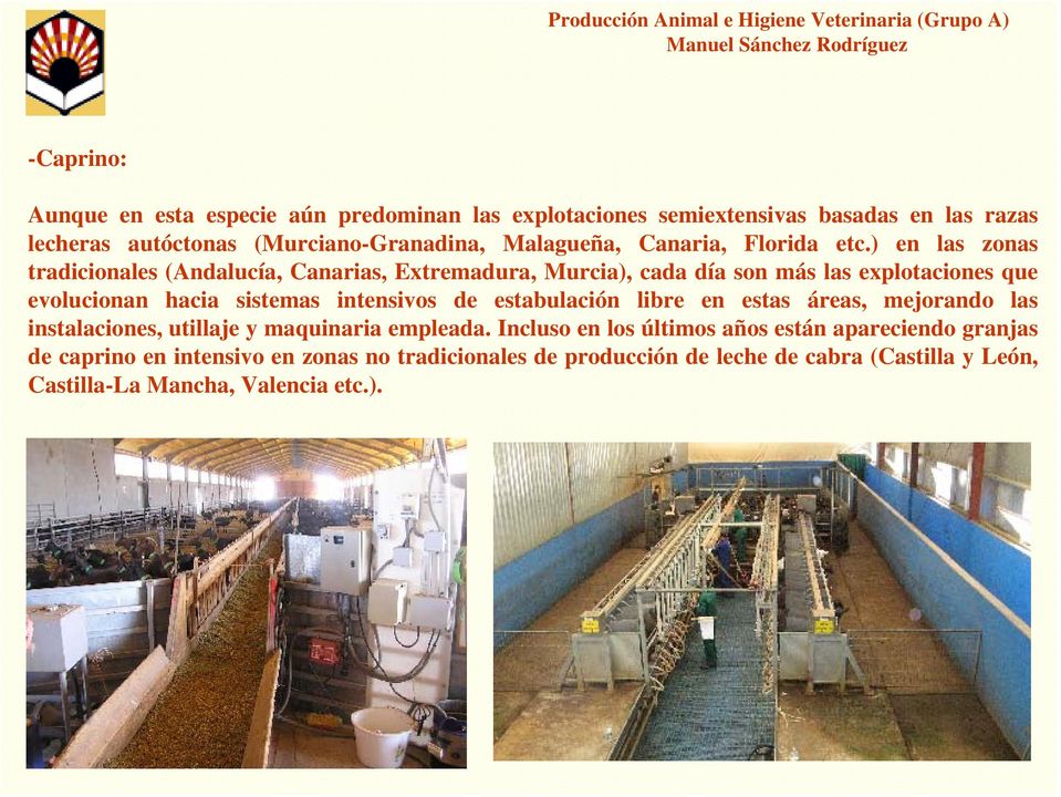 ) en las zonas tradicionales (Andalucía, Canarias, Extremadura, Murcia), cada día son más las explotaciones que evolucionan hacia sistemas intensivos de