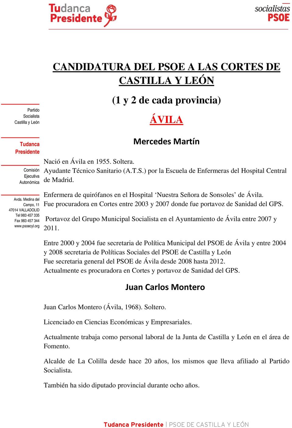Portavoz del Grupo Municipal en el Ayuntamiento de Ávila entre 2007 y 2011.