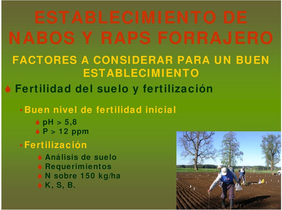 fertilización Buen nivel de fertilidad inicial ph > 5,8 P > 12