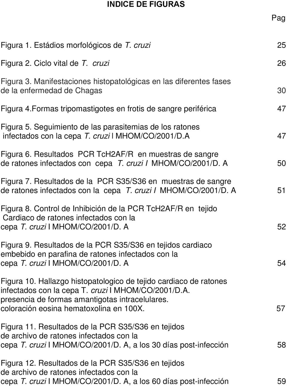 Seguimiento de las parasitemias de los ratones infectados con la cepa T. cruzi l MHOM/CO/2001/D.A 47 Figura 6. Resultados PCR TcH2AF/R en muestras de sangre de ratones infectados con cepa T.