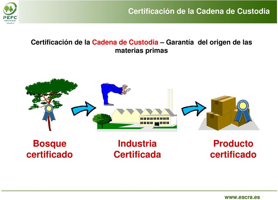 Bosque certificado Industria Certificada