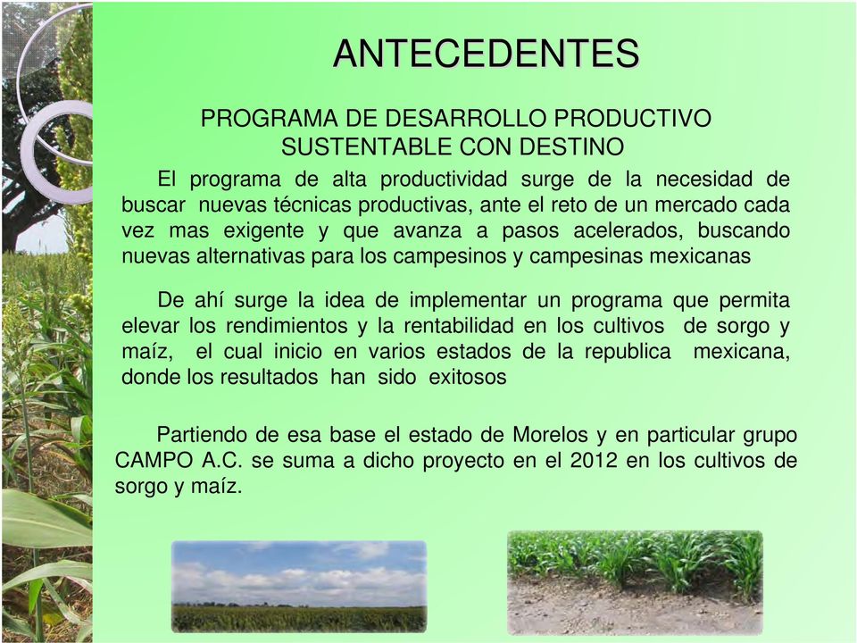 implementar un programa que permita elevar los rendimientos y la rentabilidad en los cultivos de sorgo y maíz, el cual inicio en varios estados de la republica mexicana,