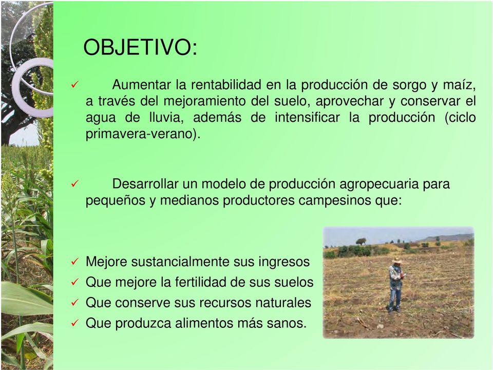Desarrollar un modelo de producción agropecuaria para pequeños y medianos productores campesinos que: Mejore