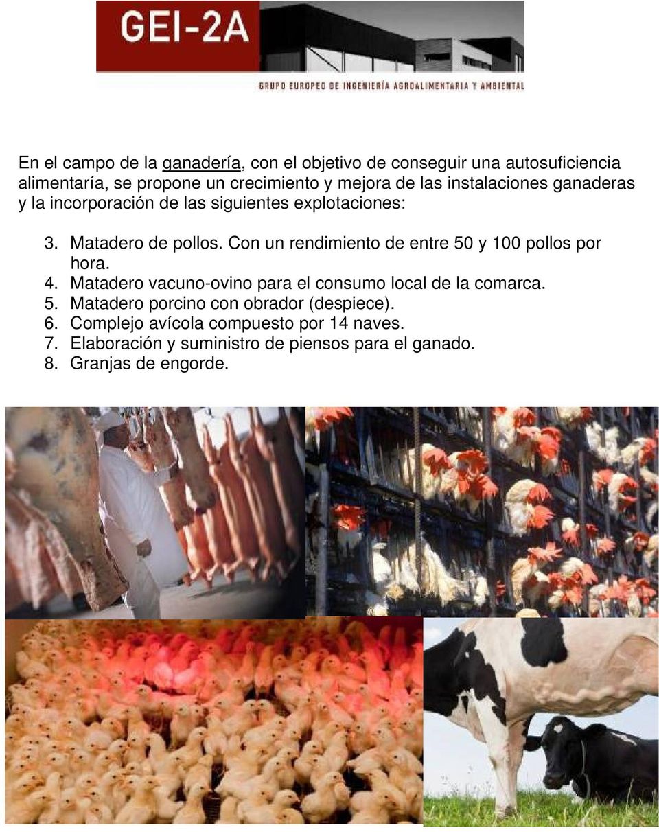 Con un rendimiento de entre 50 y 100 pollos por hora. 4. Matadero vacuno-ovino para el consumo local de la comarca. 5. Matadero porcino con obrador (despiece).
