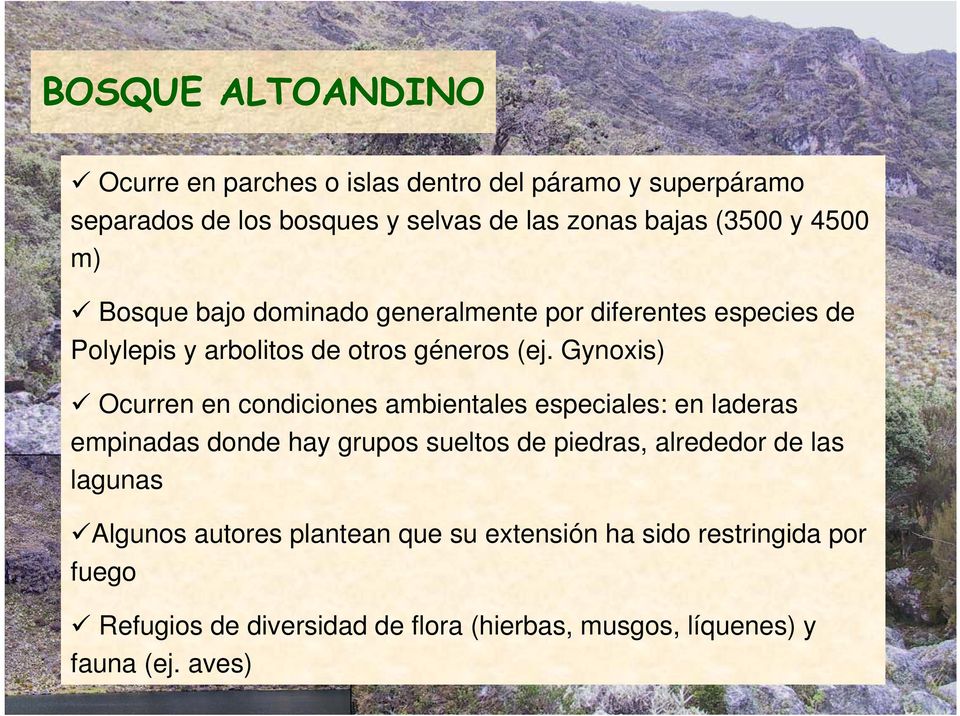 Gynoxis) Ocurren en condiciones ambientales especiales: en laderas empinadas donde hay grupos sueltos de piedras, alrededor de las