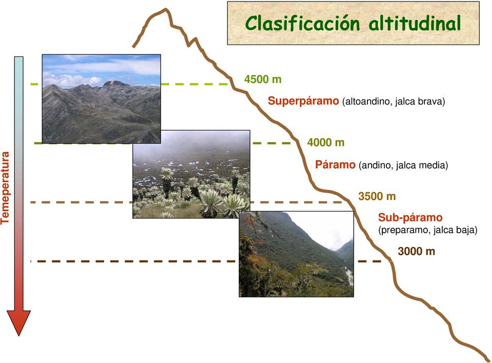 4000 m Temeperatura Páramo (andino, jalca