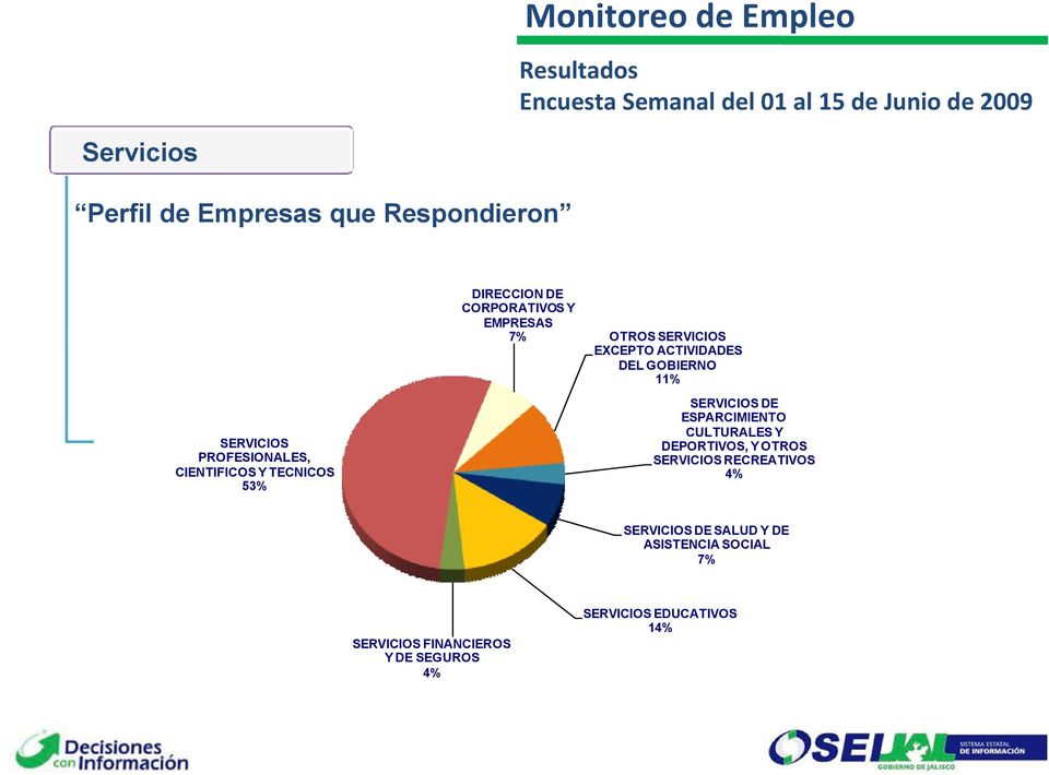 PROFESIONALES, CIENTIFICOS Y TECNICOS 53% SERVICIOS DE ESPARCIMIENTO CULTURALES Y DEPORTIVOS, Y OTROS