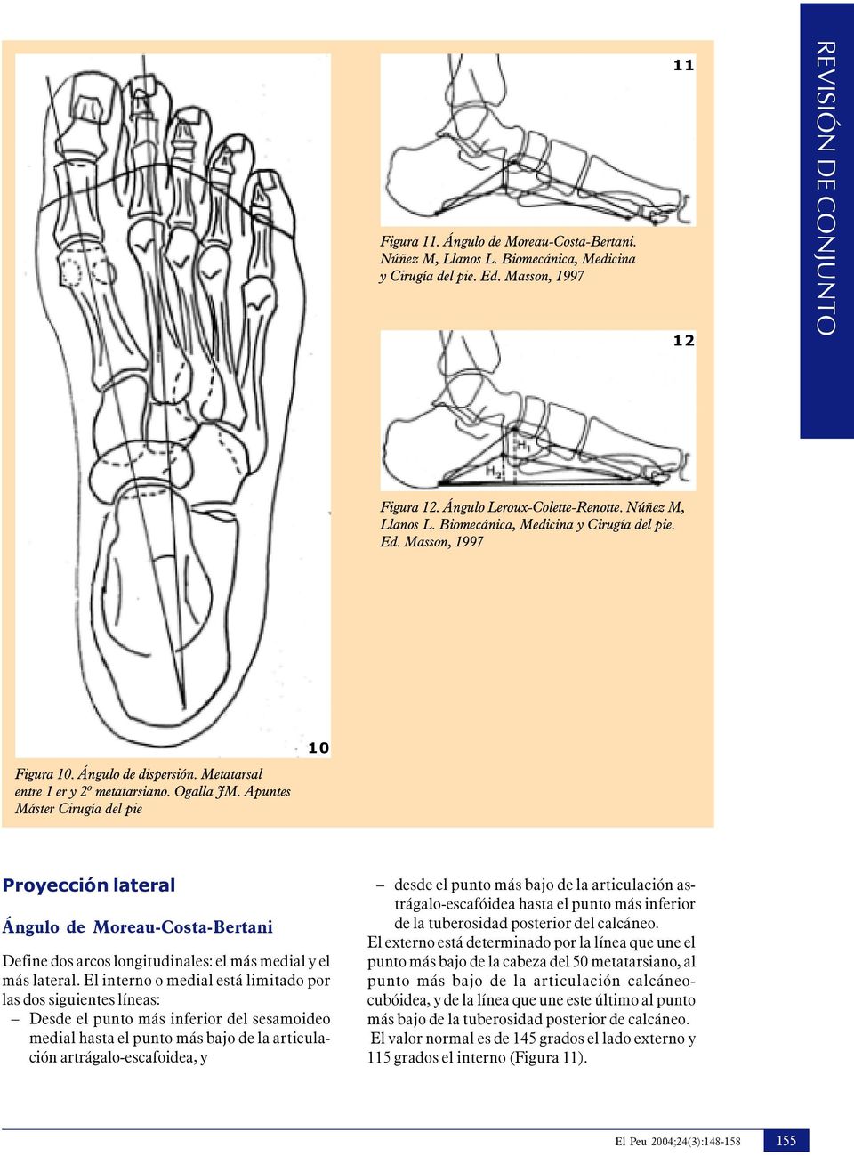 Apuntes Máster Cirugía del pie 10 Proyección lateral Ángulo de Moreau-Costa-Bertani Define dos arcos longitudinales: el más medial y el más lateral.