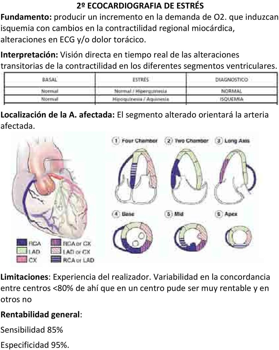 Interpretación: Visión directa en tiempo real de las alteraciones transitorias de la contractilidad en los diferentes segmentos ventriculares.