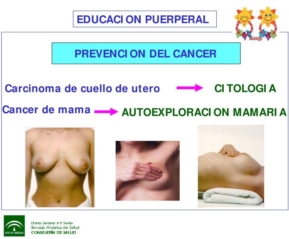 utero CITOLOGIA Cancer