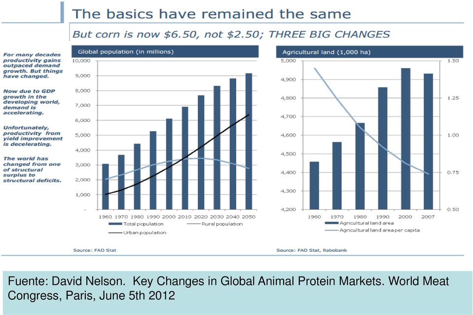 Animal Protein Markets.