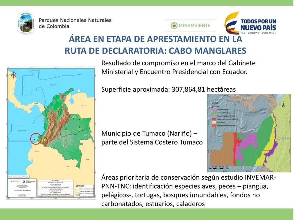 Superficie aproximada: 307,864,81 hectáreas Municipio de Tumaco (Nariño) parte del Sistema Costero Tumaco Áreas