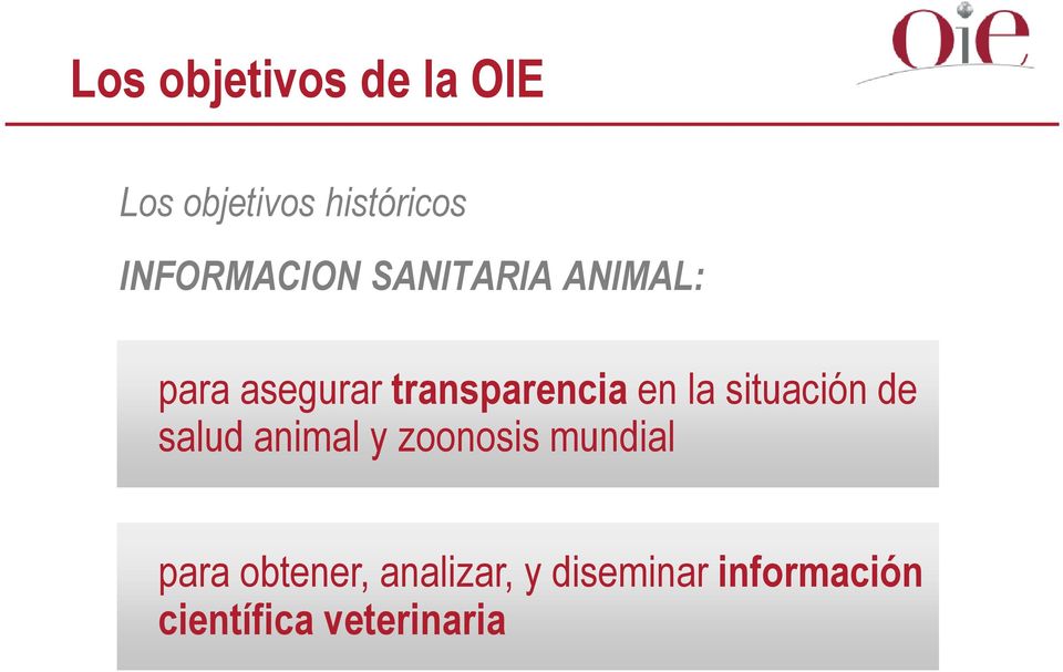 transparencia en la situación de salud animal y zoonosis