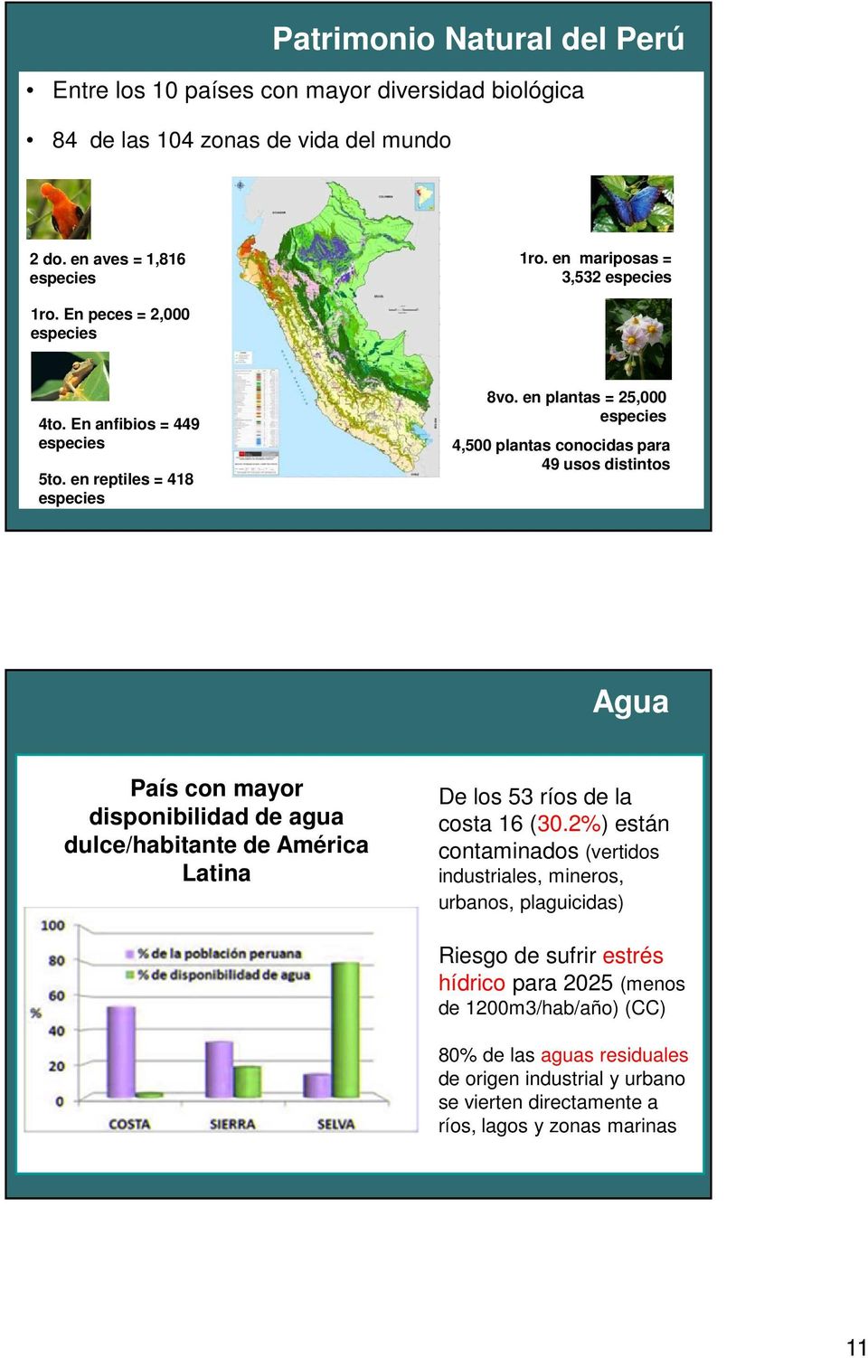 en plantas = 25,000 especies 4,500 plantas conocidas para 49 usos distintos Agua País con mayor disponibilidad de agua dulce/habitante de América Latina De los 53 ríos de la costa 16
