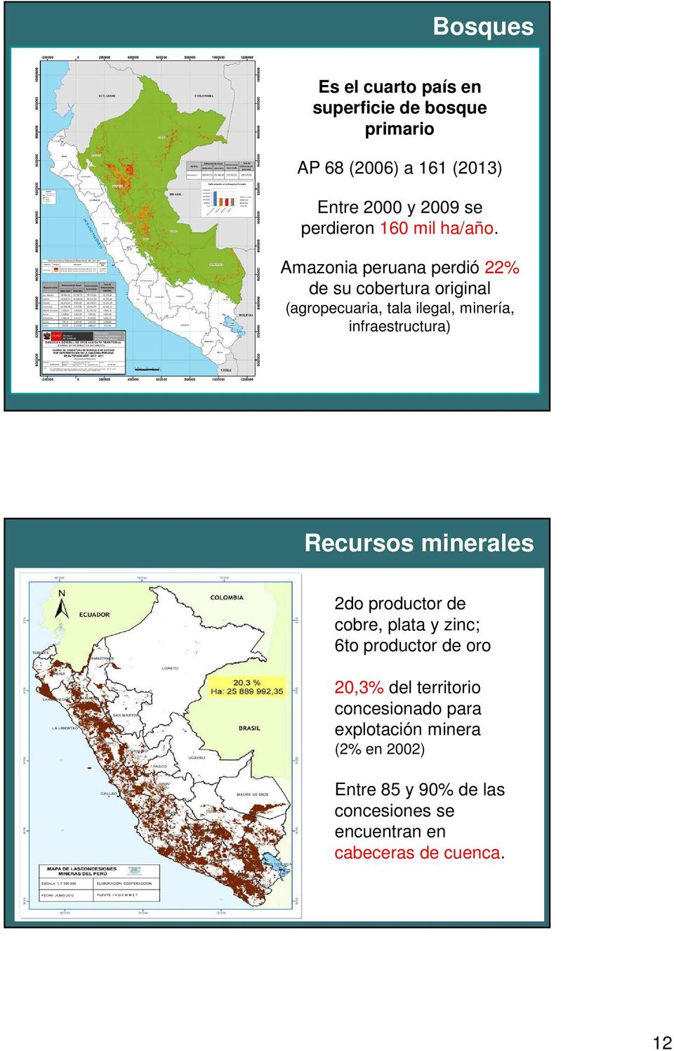Amazonia peruana perdió 22% de su cobertura original (agropecuaria, tala ilegal, minería, infraestructura) Recursos