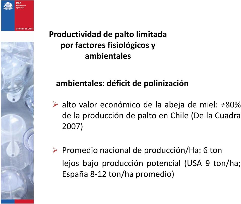 +80% de la producción de palto en Chile (De la Cuadra 2007) Promedio nacional de