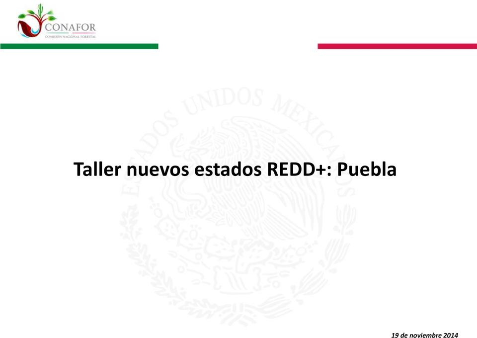 REDD+: Puebla