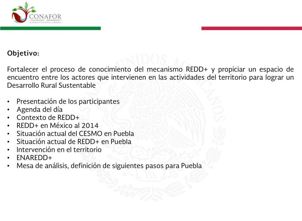 los participantes Agenda del día Contexto de REDD+ REDD+ en México al 2014 Situación actual del CESMO en Puebla