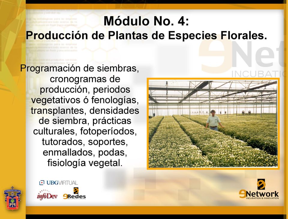 vegetativos ó fenologías, transplantes, densidades de siembra,