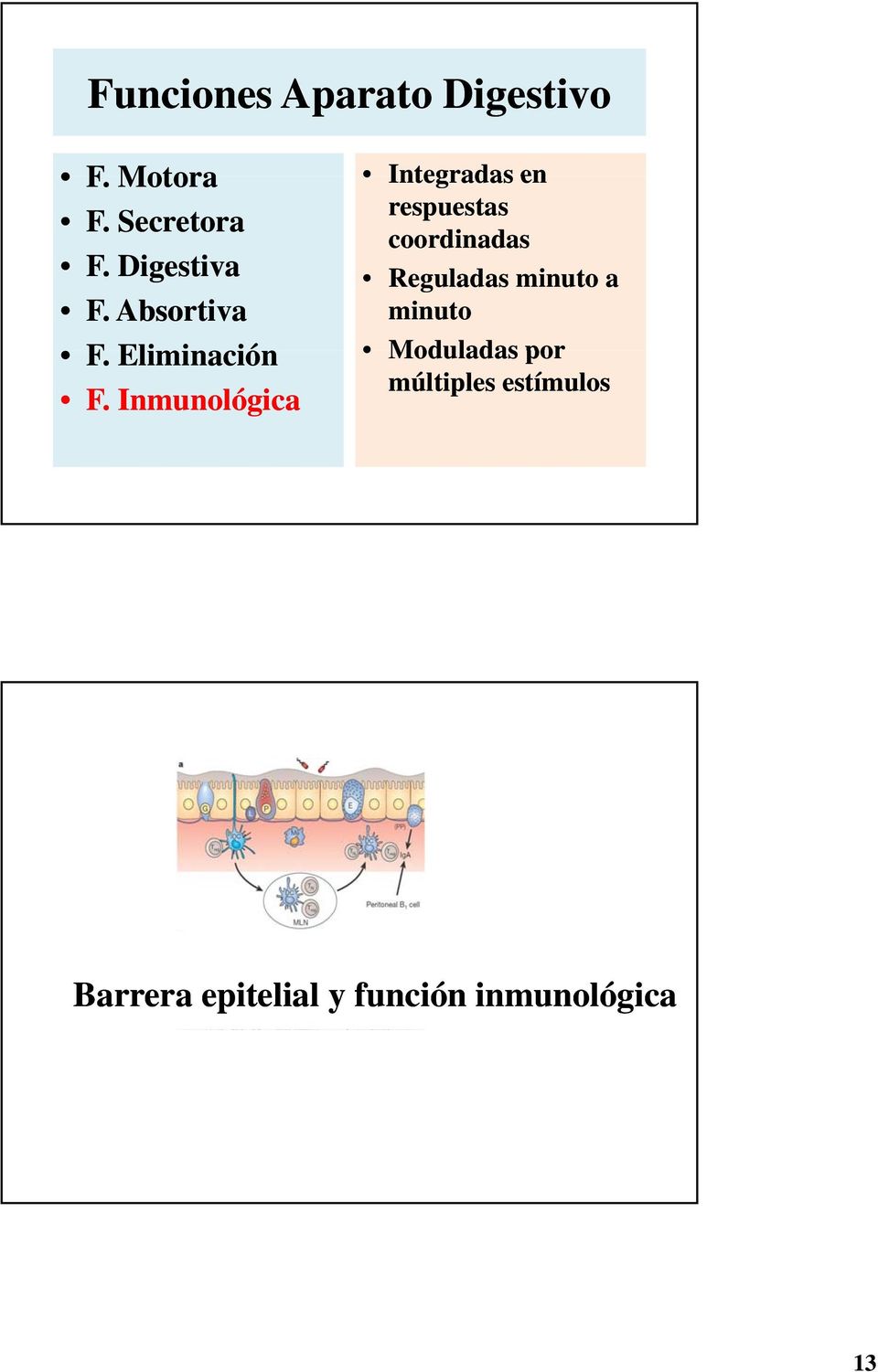 Inmunológica Integradas en respuestas coordinadas Reguladas