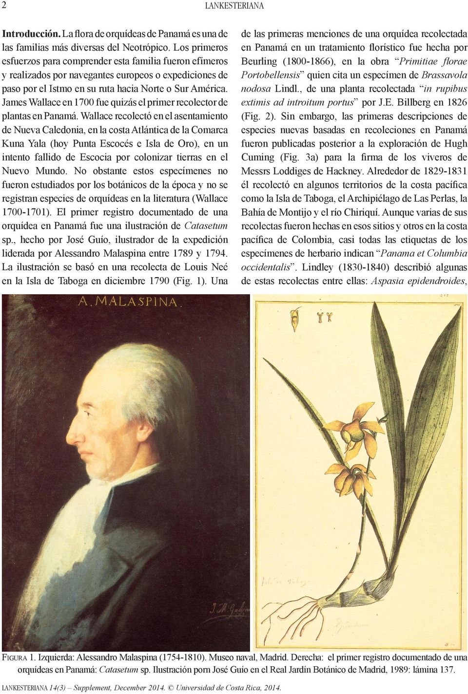 James Wallace en 1700 fue quizás el primer recolector de plantas en Panamá.