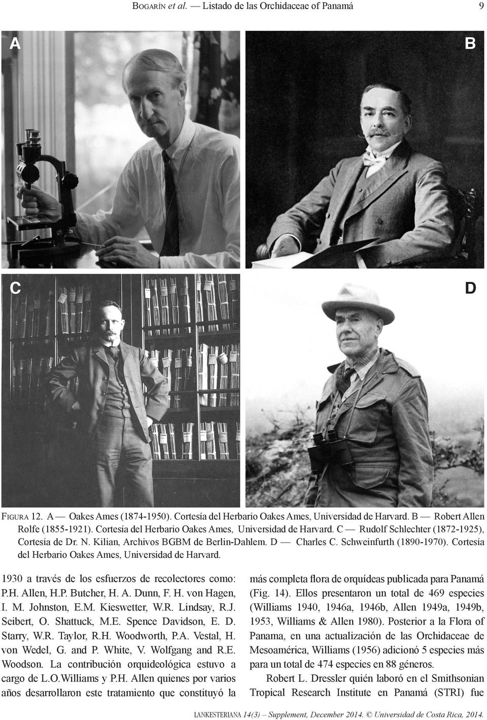 Cortesía del Herbario Oakes Ames, Universidad de Harvard. 1930 a través de los esfuerzos de recolectores como: P.H. Allen, H.P. Butcher, H. A. Dunn, F. H. von Hagen, I. M. Johnston, E.M. Kieswetter, W.