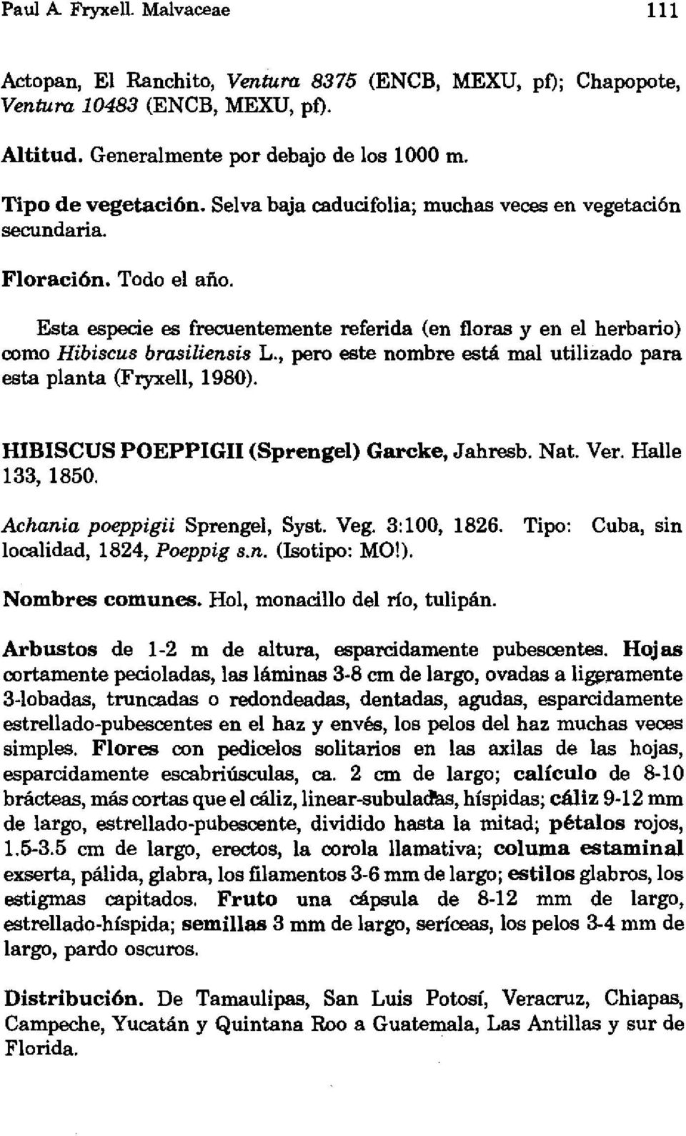 , pero este nombre está mal utilizado para esta planta (Fryxell, 1980). HIBISCUS POEPPIGII (Sprengel) Garcke. Jahresb. Nat. Ver. Halle 133,1850. Achania poeppigii Sprengel, Syst. Veg. 3:100, 1826.