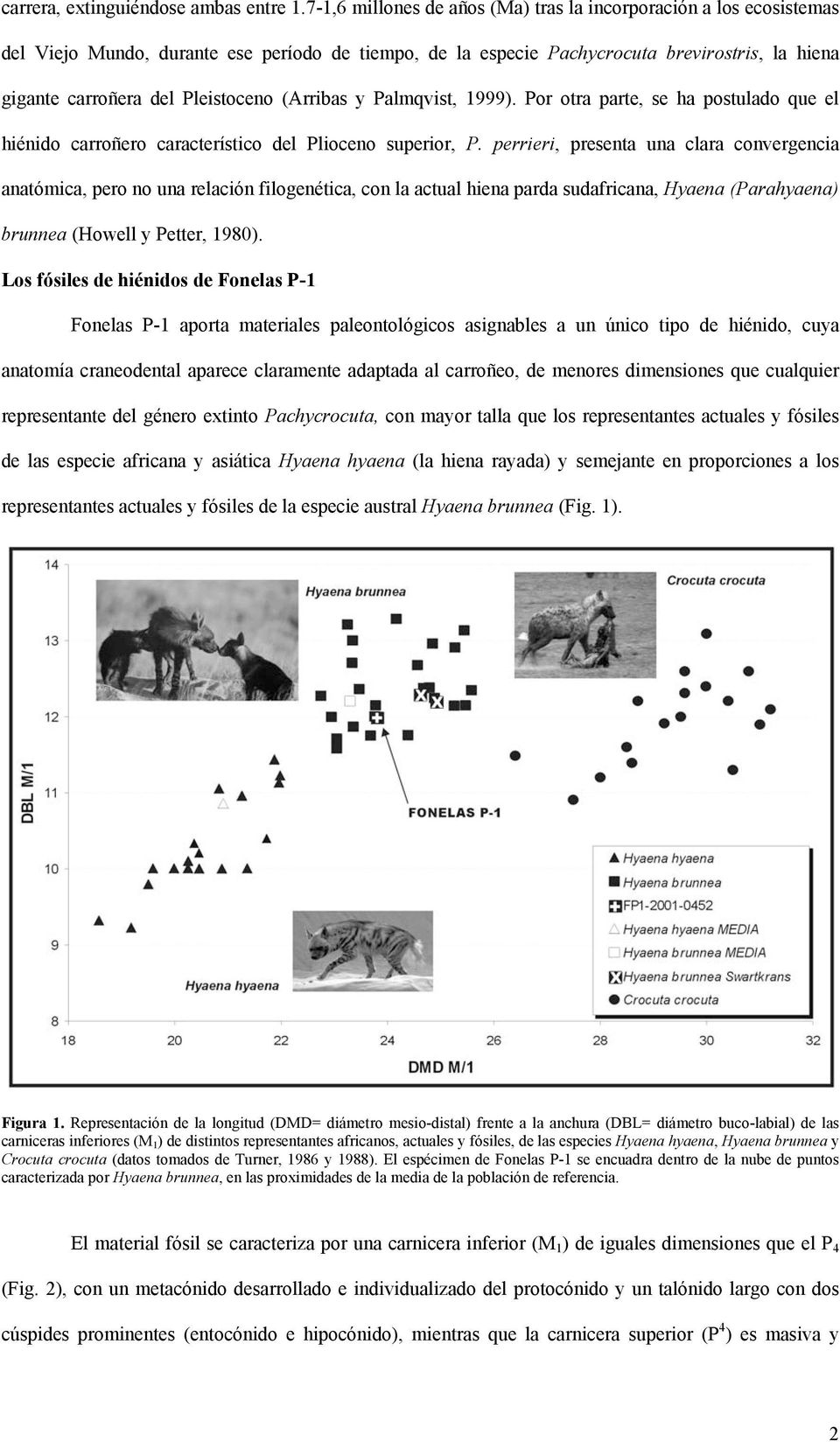 (Arribas y Palmqvist, 1999). Por otra parte, se ha postulado que el hiénido carroñero característico del Plioceno superior, P.