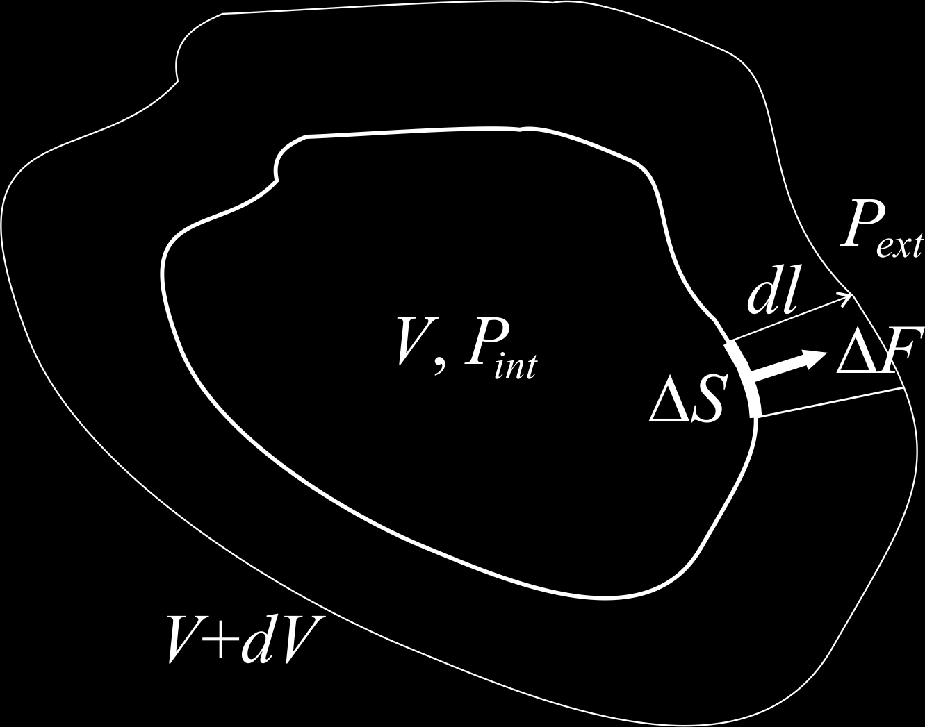 Figura 2: Cálculo del trabajo de dilatación en un fluido Observando la figura 2 vemos que el producto Sdl es el incremento del elemento de volumen sustentado por el área S, al que llamaremos d( V ).