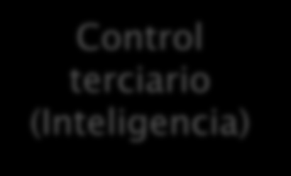 Control Secundario (f) Control terciario (Inteligencia) Control Secundario (f) Control