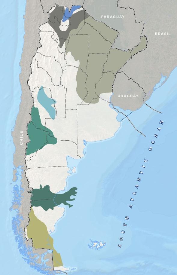 Plan gas natural Gas Bolivia 10 TUCUMAN LA MORA TGN BEAZLEY CAMPO DURAN PARANA SAN JERONIMO URUGUAYANA BUENOS AIRES Precios importación USD/Mbtu Gasoil 23 Fuel oil 18 Gas Mm3/d 20.000 18.000 47 16.