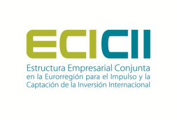 Adjudicaciones a empresas gallegas: Contratos adjudicados (en euros)