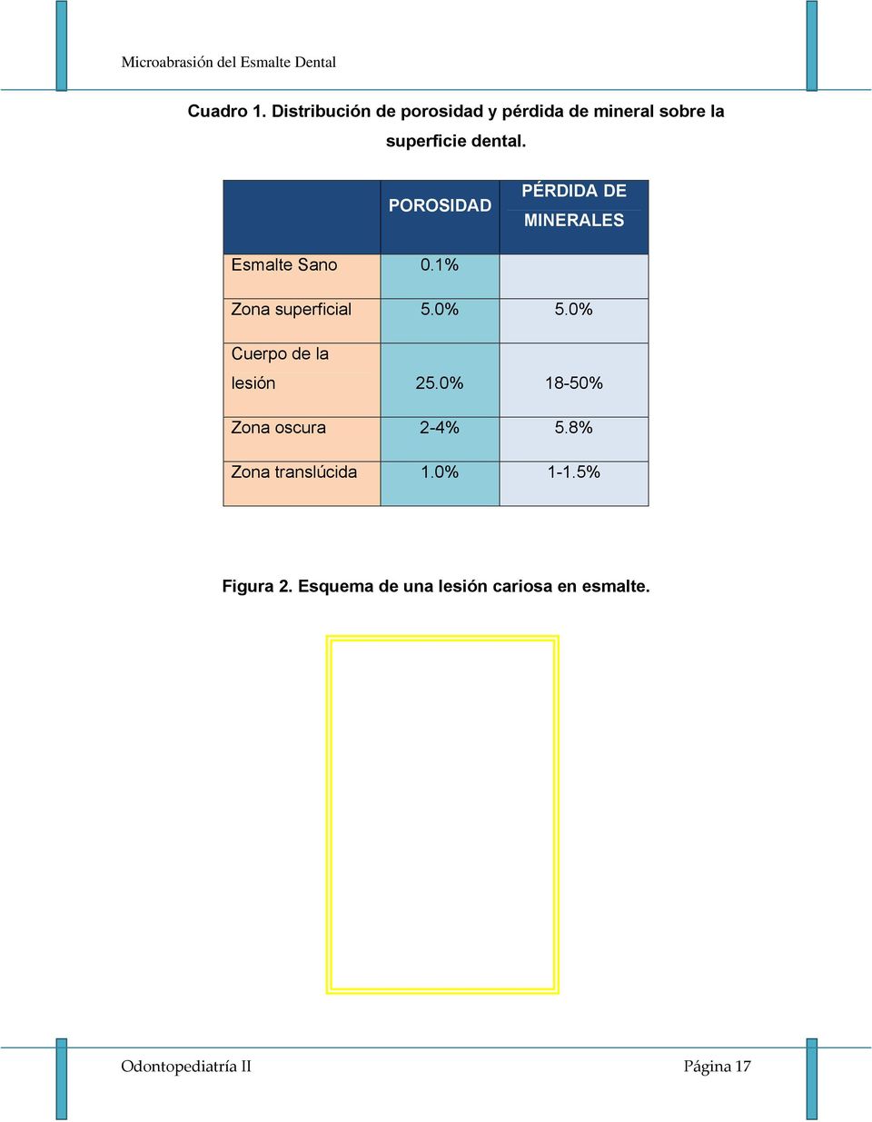 POROSIDAD PÉRDIDA DE MINERALES Esmalte Sano 0.1% Zona superficial 5.0% 5.