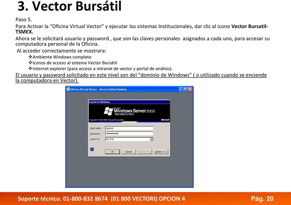 Al acceder correctamente se mostrara: Ambiente Windows completo Iconos de acceso al sistema Vector Bursátil Internet explorer (para acceso a intranet de vector y portal