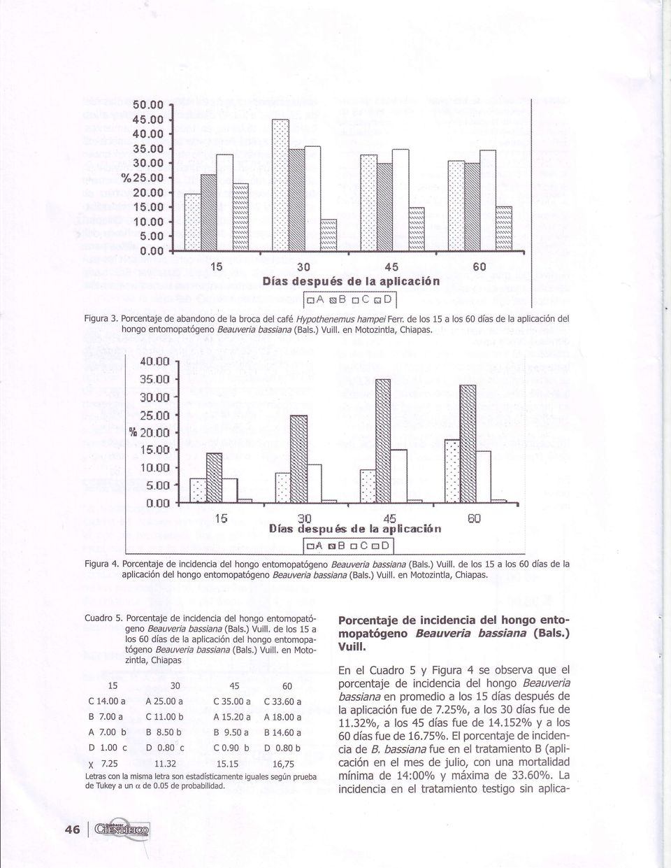 ilü Días il *1S ñ$pufu d* la aplicaciún na sft üüüü Figura 4. Porcentaje de incidencia del hongo entomopatógeno Beauveria bassiana (Bals.) Vuill.
