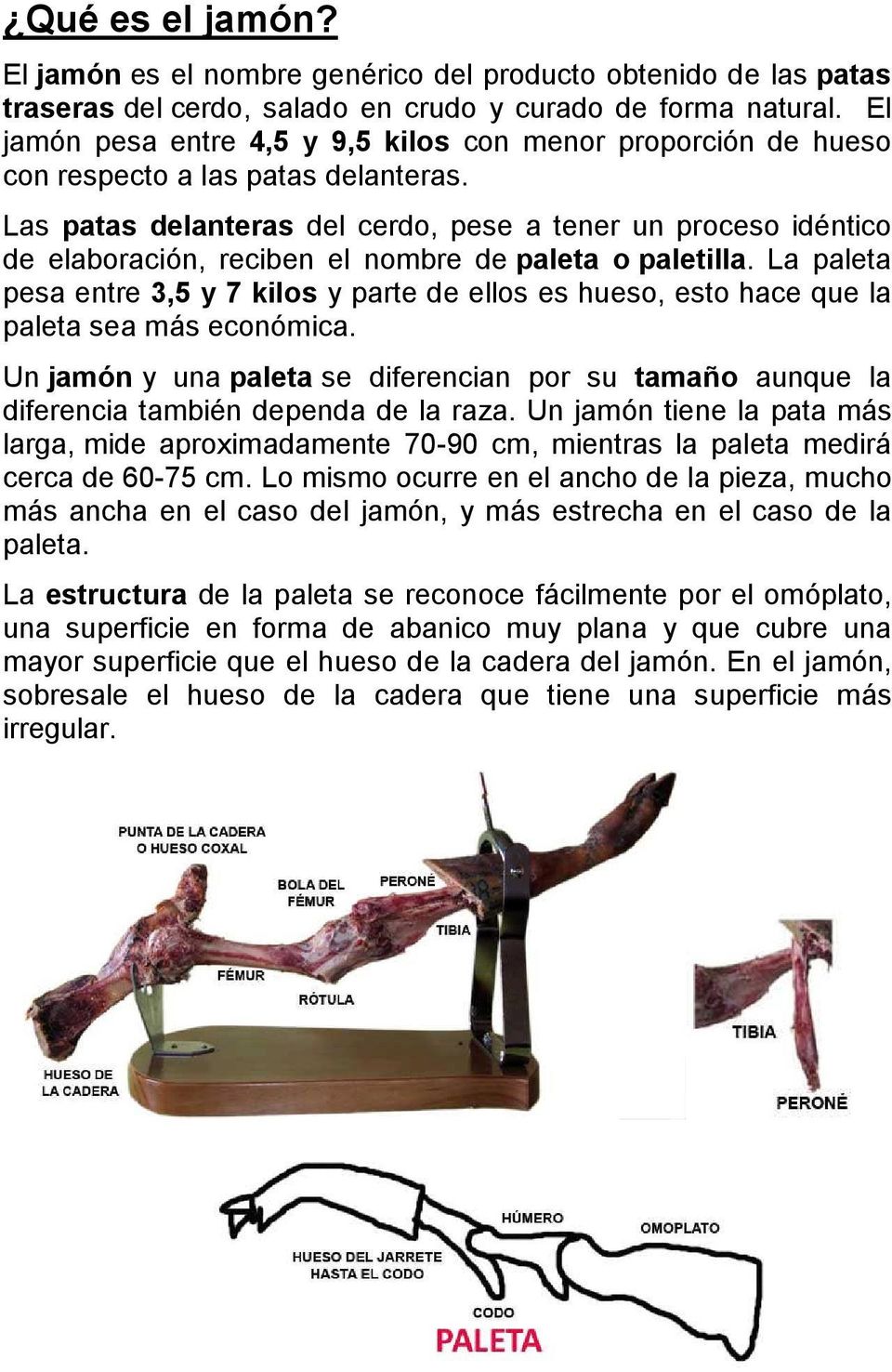 Las patas delanteras del cerdo, pese a tener un proceso idéntico de elaboración, reciben el nombre de paleta o paletilla.