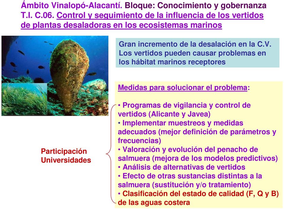 Los vertidos pueden causar problemas en los hábitat marinos receptores Medidas para solucionar el problema: Participación Universidades Programas de vigilancia y control de vertidos (Alicante y