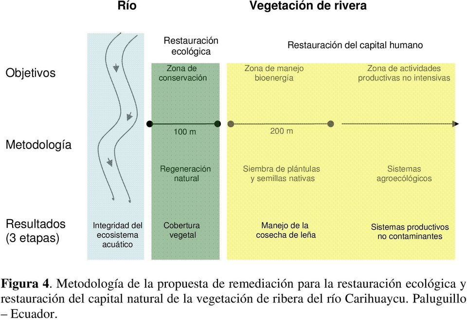 Resultados (3 etapas) Integridad del ecosistema acuático Cobertura vegetal Manejo de la cosecha de leña Sistemas productivos no contaminantes Figura 4.