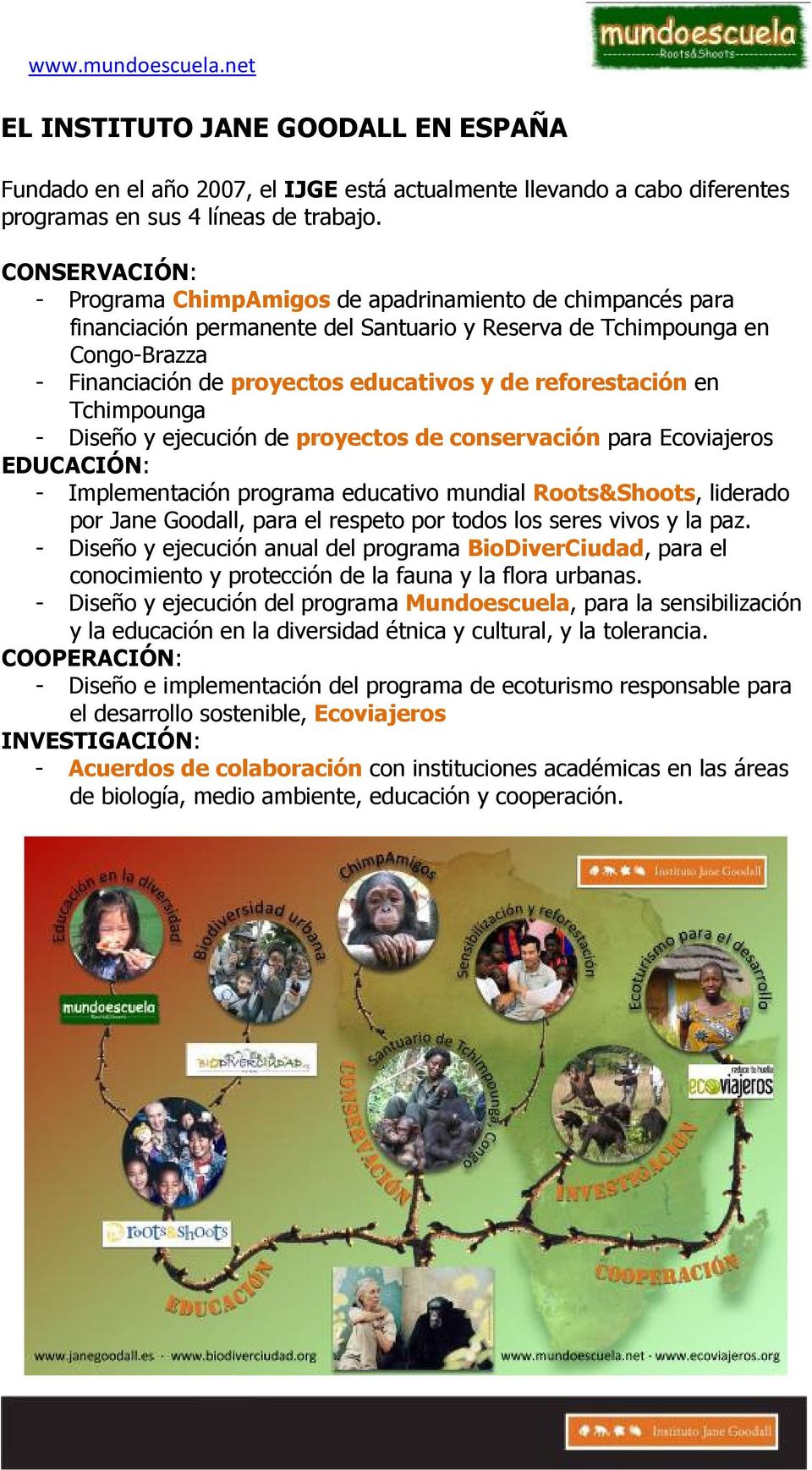 reforestación en Tchimpounga - Diseño y ejecución de proyectos de conservación para Ecoviajeros EDUCACIÓN: - Implementación programa educativo mundial Roots&Shoots, liderado por Jane Goodall, para el