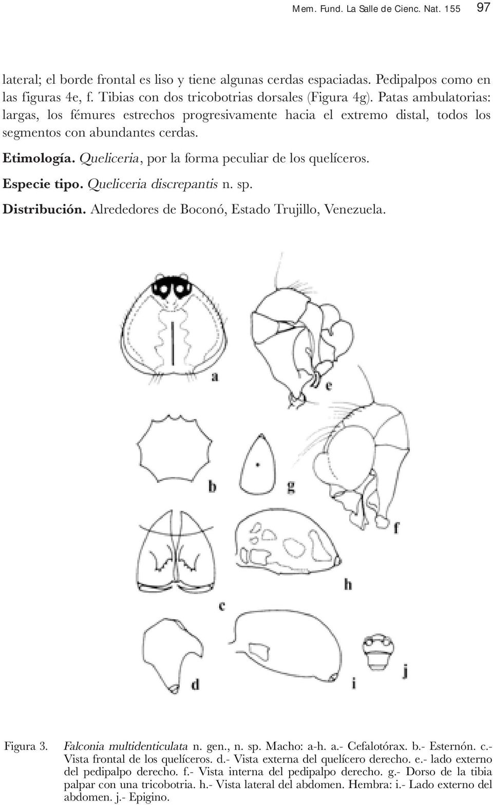 Especie tipo. Queliceria discrepantis n. sp. Distribución. Alrededores de Boconó, Estado Trujillo, Venezuela. Figura 3. Falconia multidenticulata n. gen., n. sp. Macho: a-h. a.- Cefalotórax. b.