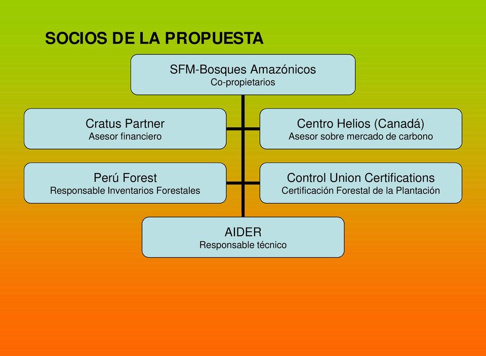 carbono Perú Forest Responsable Inventarios Forestales Control Union