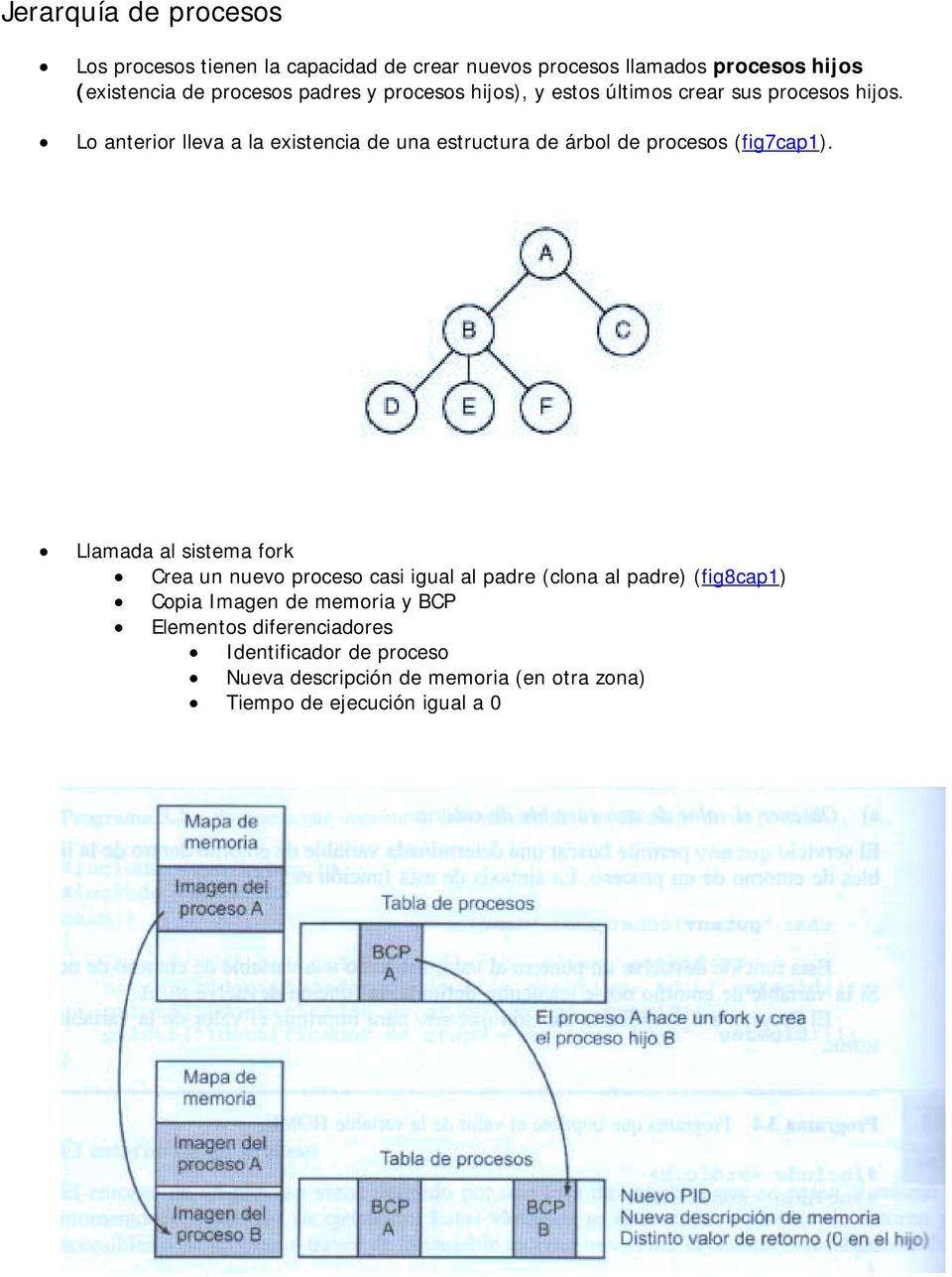 Lo anterior lleva a la existencia de una estructura de árbol de procesos (fig7cap1).
