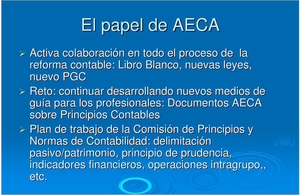 AECA sobre Principios Contables Plan de trabajo de la Comisión n de Principios y Normas de Contabilidad: