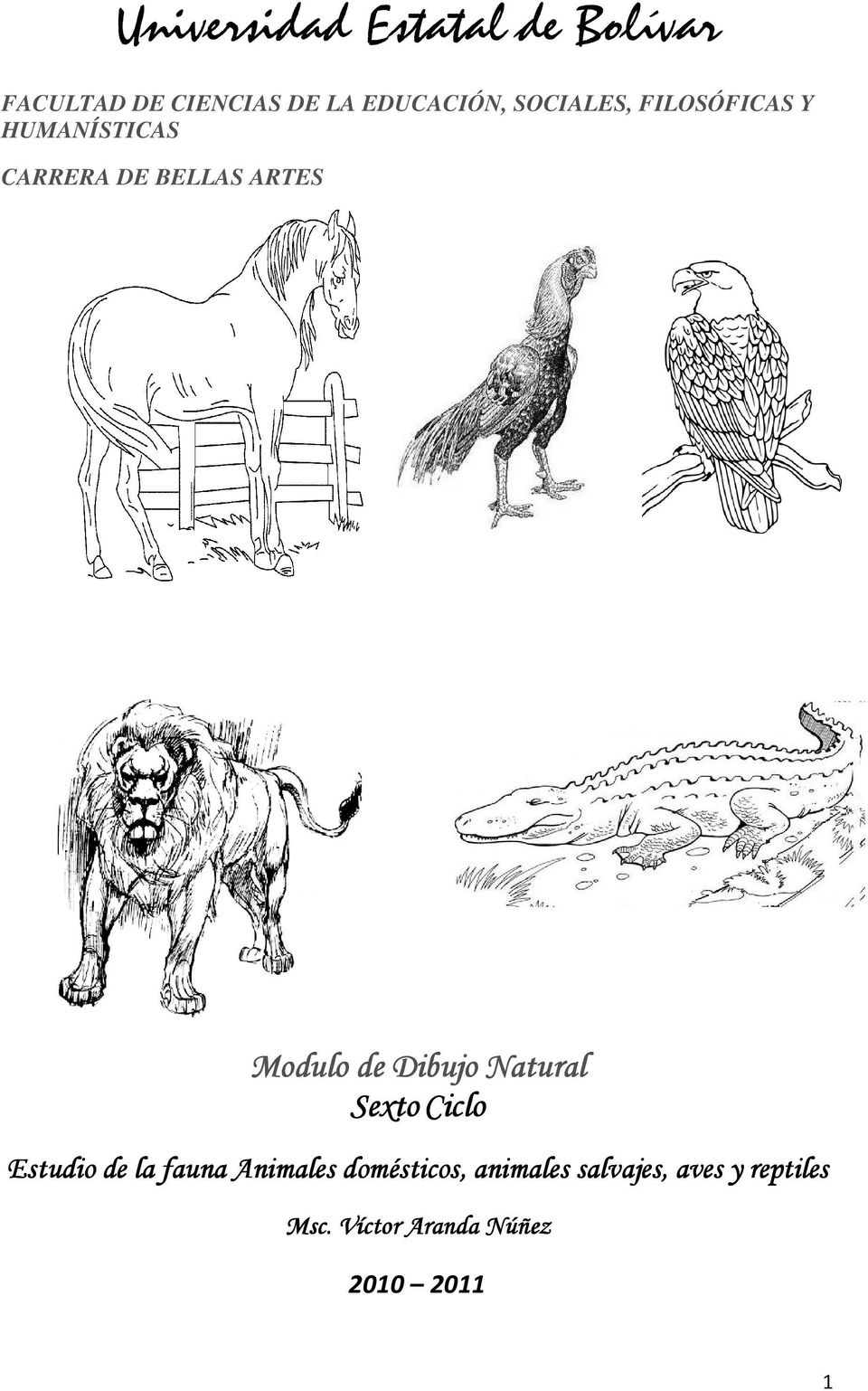 Dibujo Natural Sexto Ciclo Estudio de la fauna Animales domésticos,