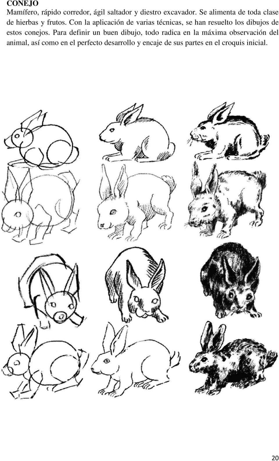Con la aplicación de varias técnicas, se han resuelto los dibujos de estos conejos.