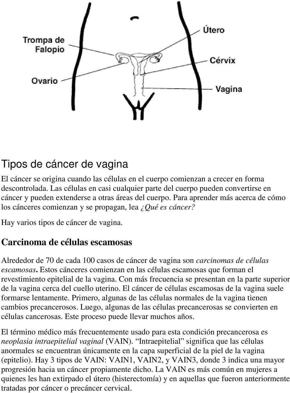 Para aprender más acerca de cómo los cánceres comienzan y se propagan, lea Qué es cáncer? Hay varios tipos de cáncer de vagina.
