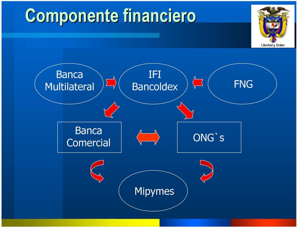 IFI Bancoldex FNG