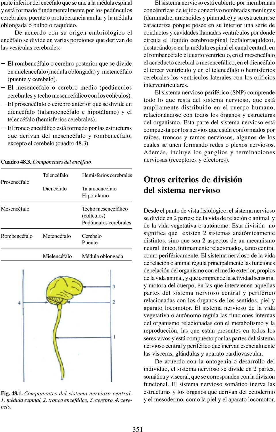 oblongada) y metencéfalo (puente y cerebelo). El mesencéfalo o cerebro medio (pedúnculos cerebrales y techo mesencefálico con los colículos).